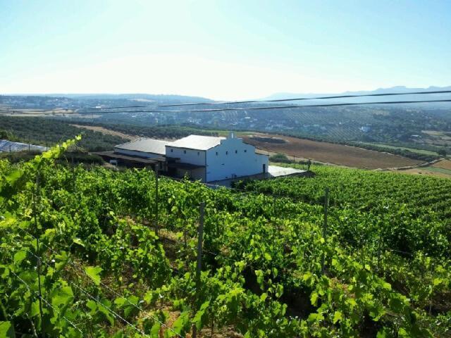 Bodegas Morosanto Apartamento La Cimada Exterior foto